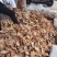 黄山嫩笋尖
