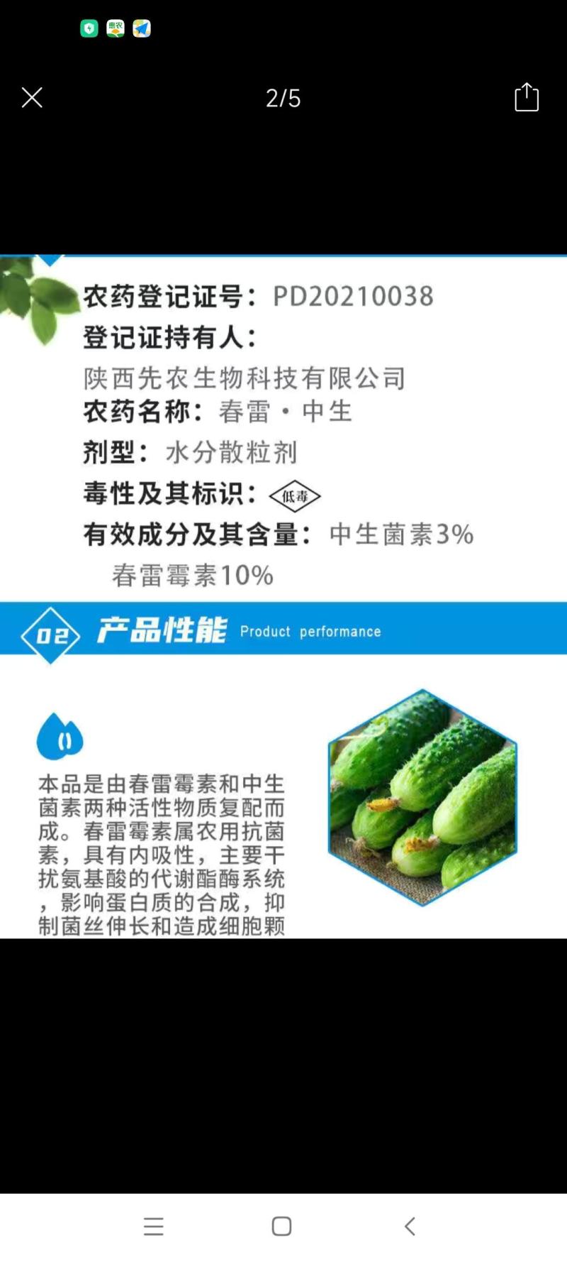 细赢13%春雷霉素·中生菌素黄瓜细菌性角斑病杀菌剂农药