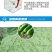 细赢13%春雷霉素·中生菌素黄瓜细菌性角斑病杀菌剂农药