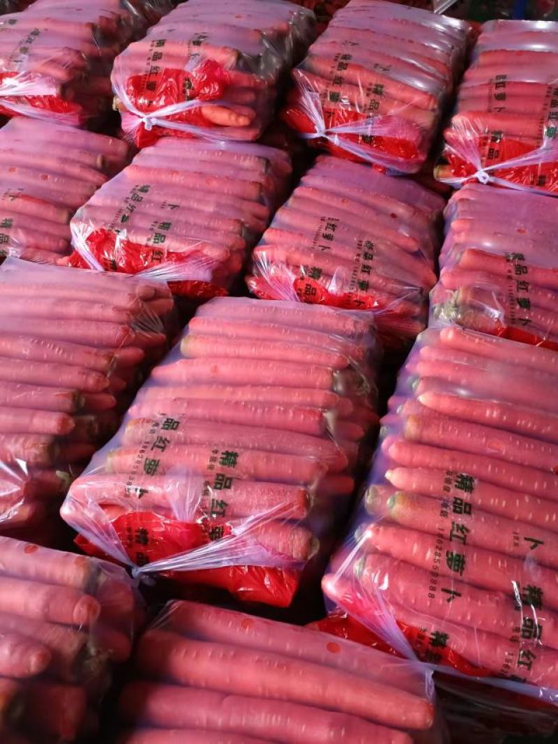陕西大荔精品秤杆红萝卜一手货源价格实惠欢迎联系
