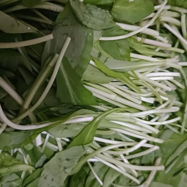 马兰头精品菜