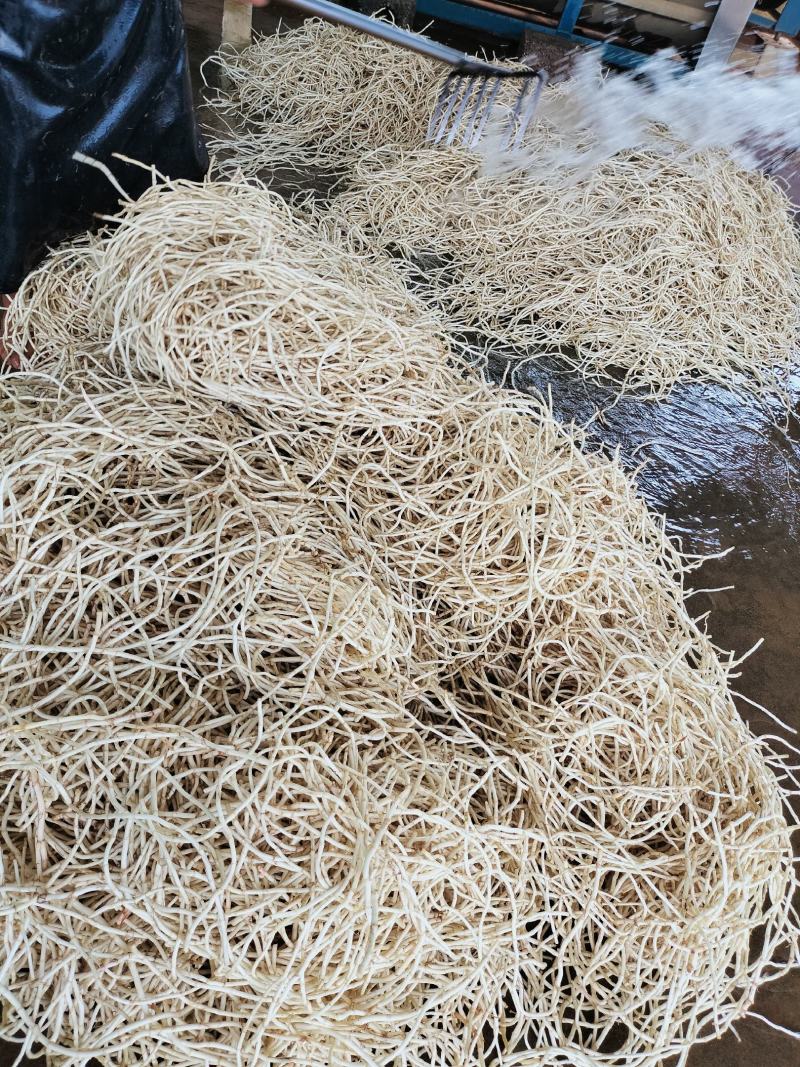 精品鱼腥草，有需要的老板请联系