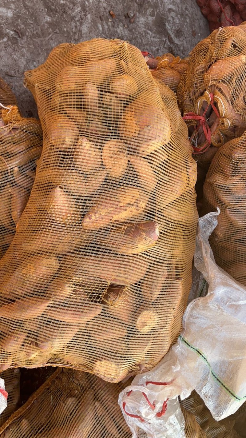 西瓜红加工厂货价格便宜了产地直发大量有货欢迎联系