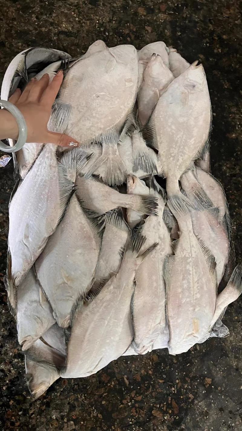 鳕鱼明太鱼去头鳕鱼明太鱼去头鳕鱼明太鱼去头鳕鱼明太鱼去头