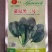 黑优191地趴圆叶菠菜种子春秋大棚越冬温棚露地耐寒匀可种