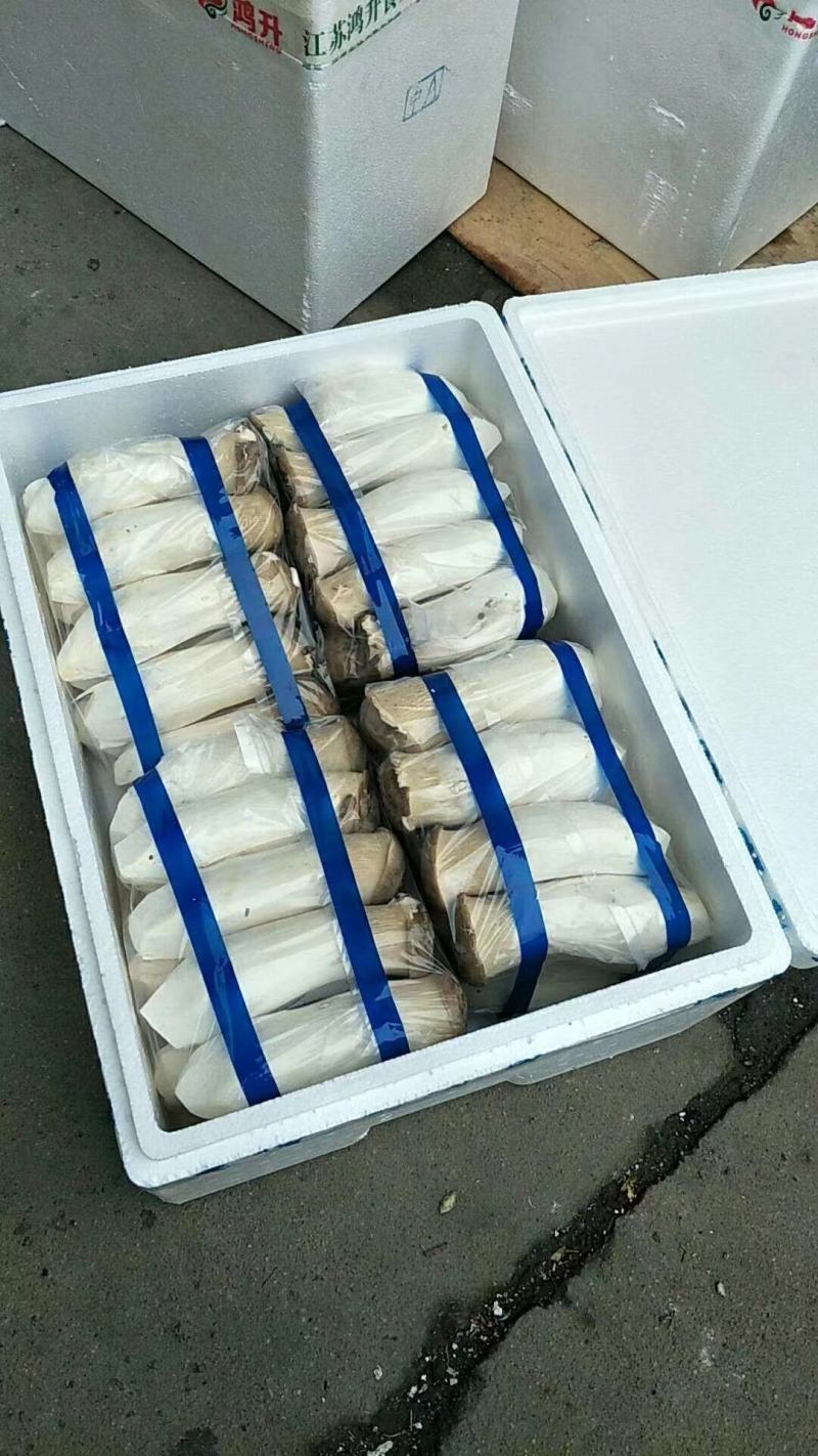 杏鲍菇/杏鲍菇片，基地现货直发量大价优品质好诚信发货