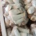杏鲍菇/杏鲍菇片，基地现货直发量大价优品质好诚信发货
