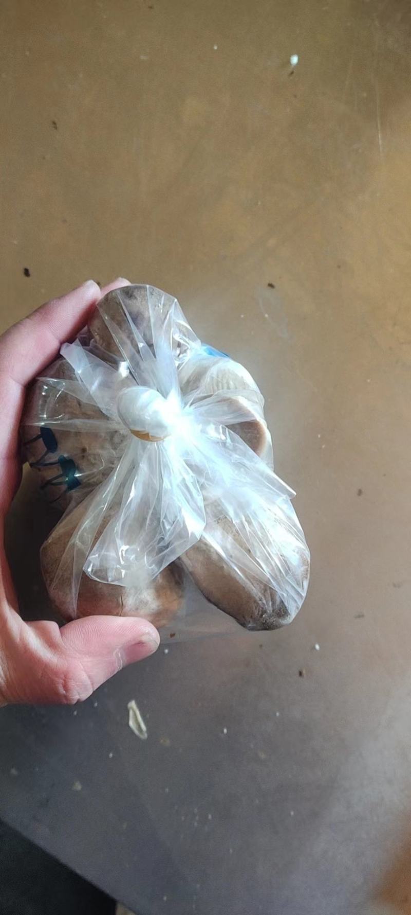 杏鲍菇/杏鲍菇片，基地现货直发量大价优品质好诚信发货