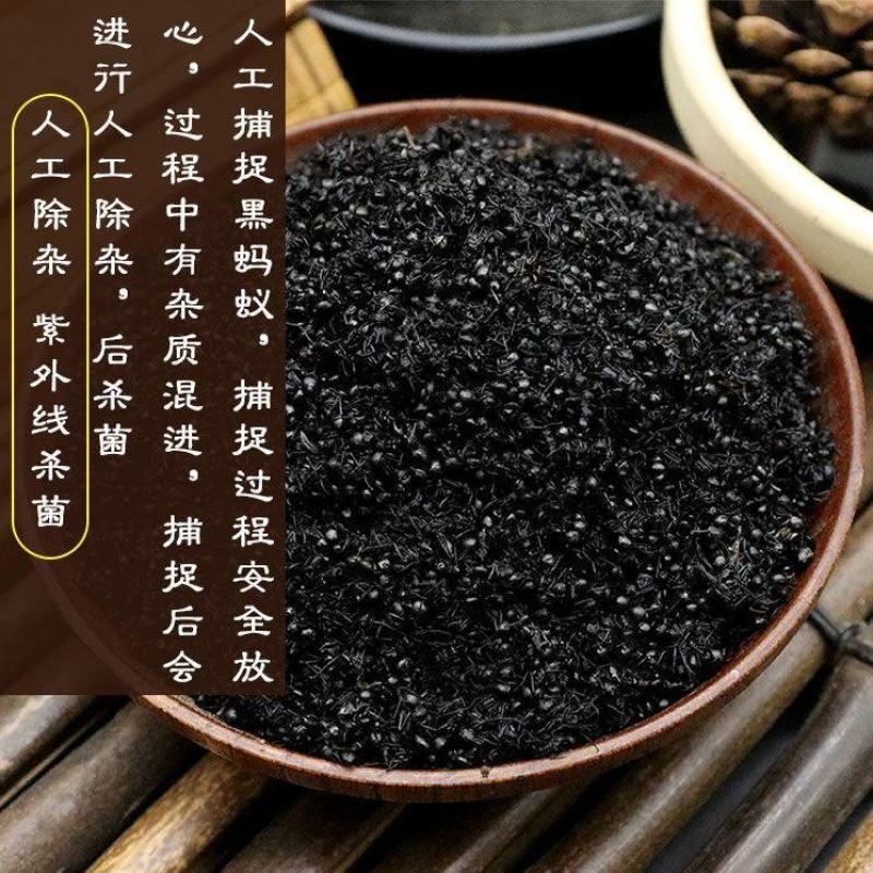 广西大黑蚂蚁干正品野生拟黑多刺蚁黑蚂蚁散装养生泡酒料食用