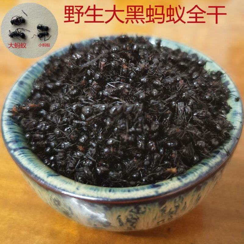 广西大黑蚂蚁干正品野生拟黑多刺蚁黑蚂蚁散装养生泡酒料食用