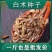 纯俩年改良白术种子品质保证诚信经营欢迎联系