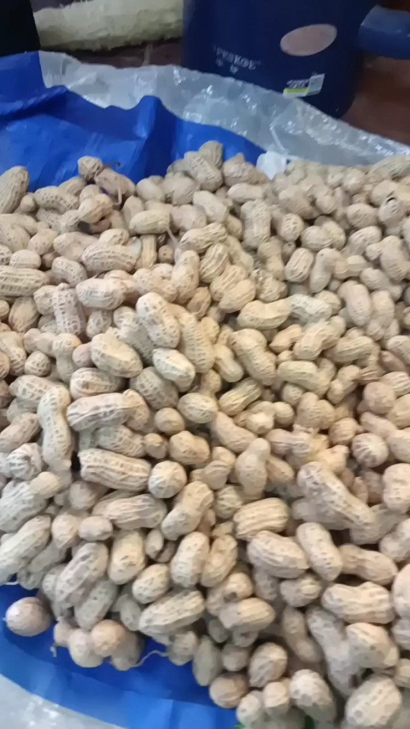 农家自种花生一手货源，特色花生口感细腻