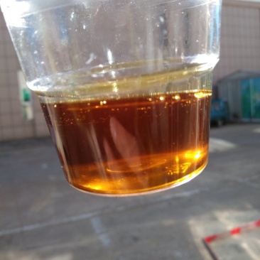 内蒙古精选菜籽