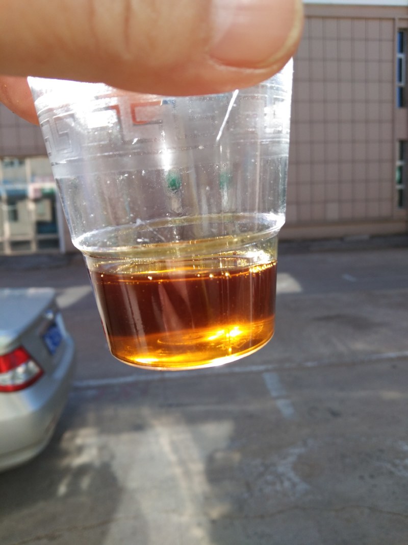 内蒙古精选菜籽