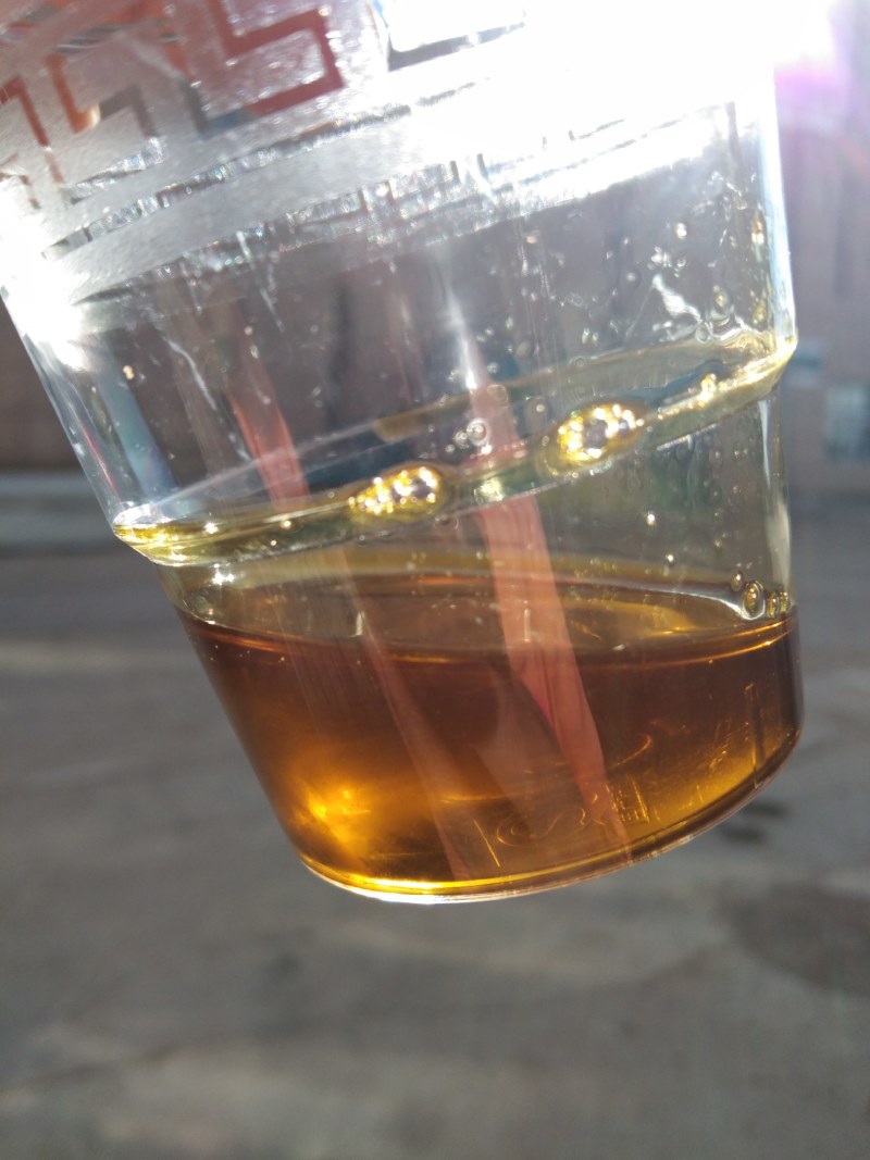 内蒙古精选菜籽