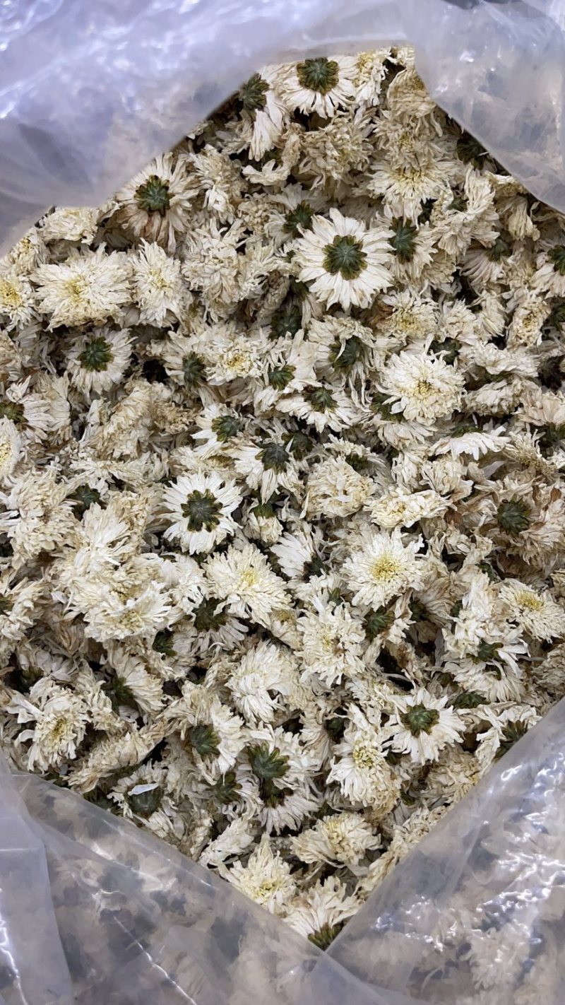 正宗黄山【贡菊】无硫纯净货保质保量…大量批发