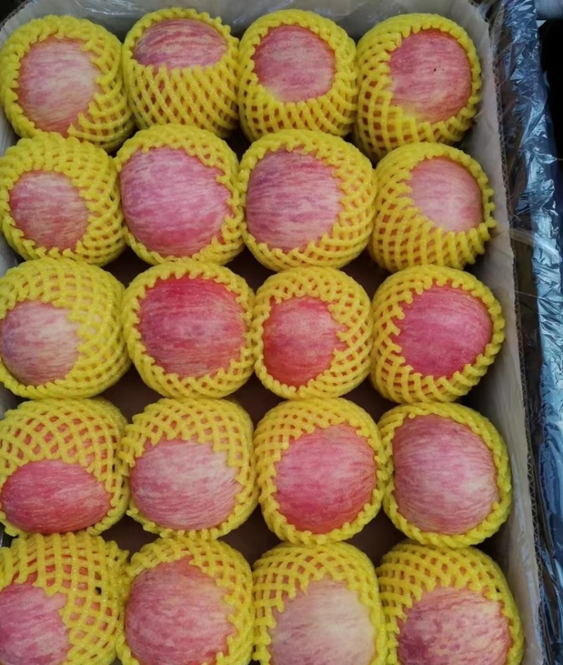 烟台富士苹果