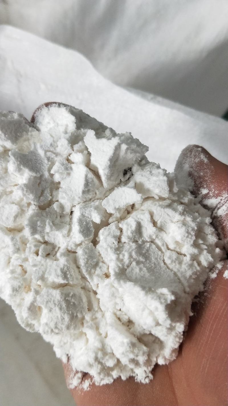 纯白玉米粉水产养殖玉米粉宠物饲料玉米粉猫砂原料玉米粉