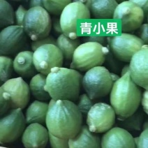 广东香水柠檬