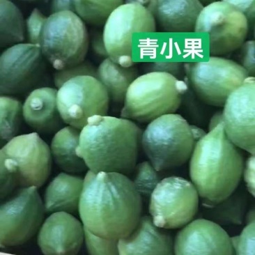 广东香水柠檬