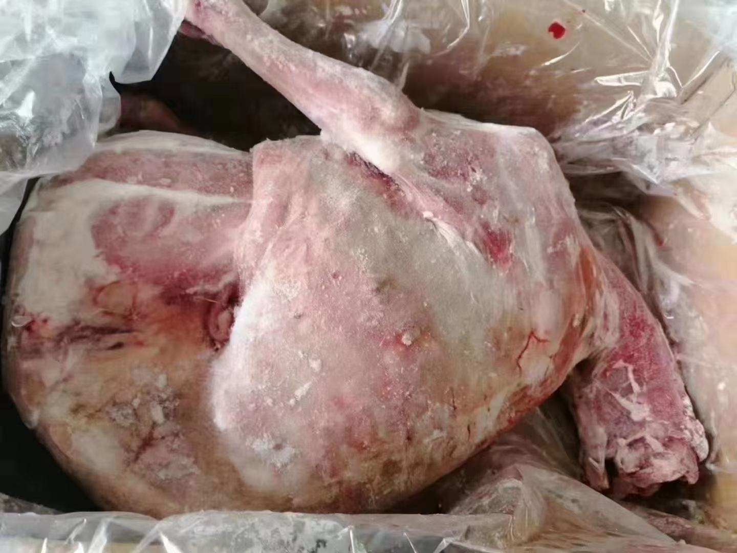 白条羊肉冷藏与冷冻保存对比图