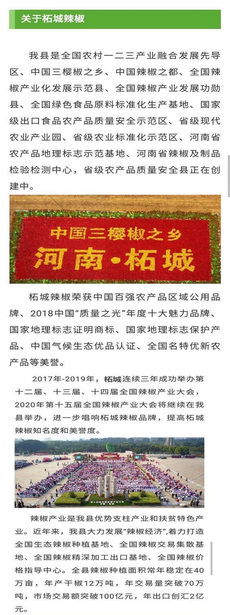 河南精品新一代香辣微辣特香三樱椒天鹰椒干辣椒段面粉批发