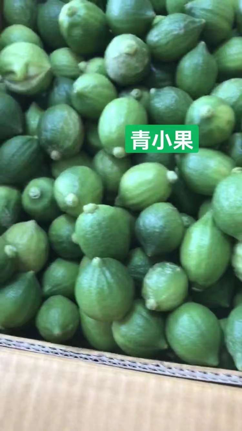 广东香水柠檬