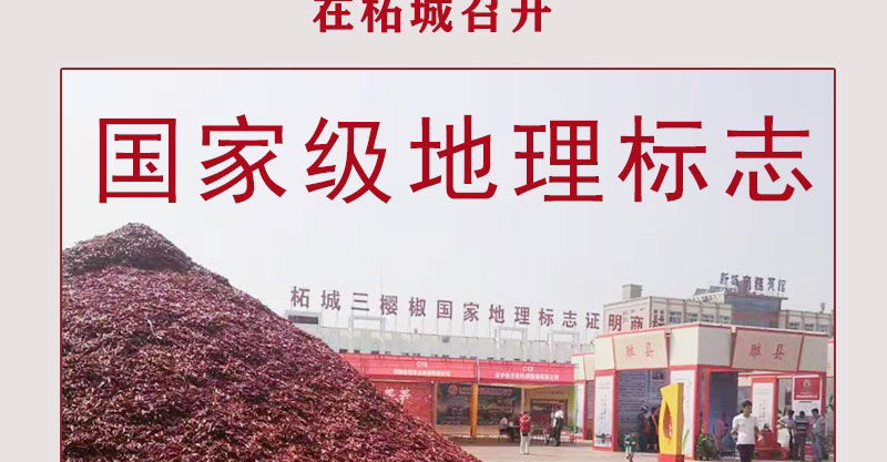 河南精品新一代香辣微辣特香三樱椒天鹰椒干辣椒段面粉批发