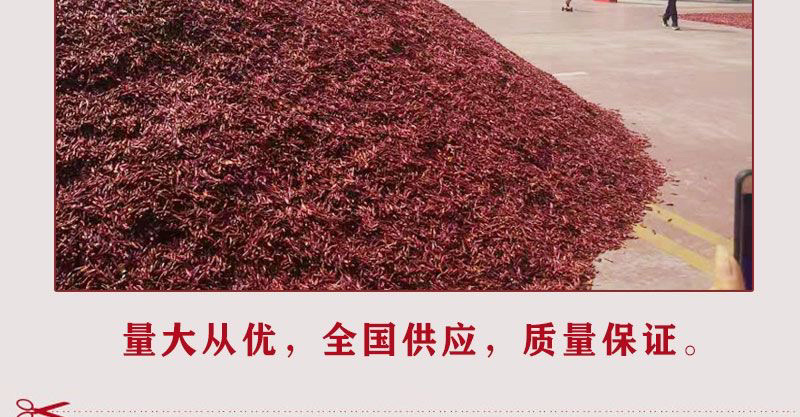 河南精品新一代香辣微辣特香三樱椒天鹰椒干辣椒段面粉批发
