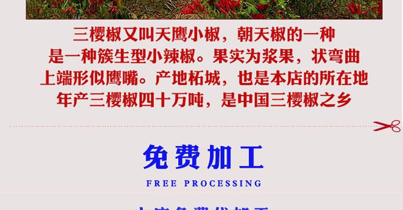 河南精品新一代香辣微辣特香三樱椒天鹰椒干辣椒段面粉批发