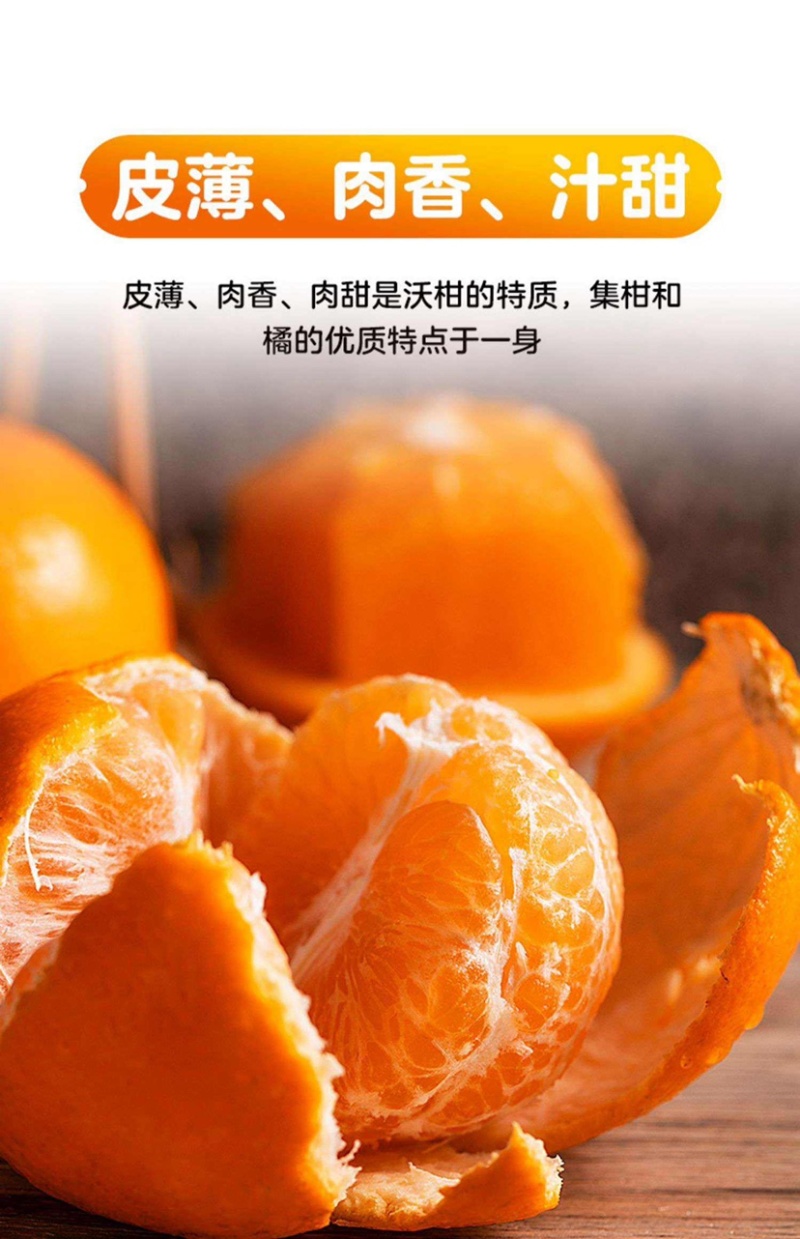 广西富硒地区沃柑，接受预定，公司对接，专业代办代发