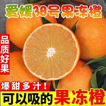 四川眉山爱媛38号果冻橙承接电商微商社区团购直播带货