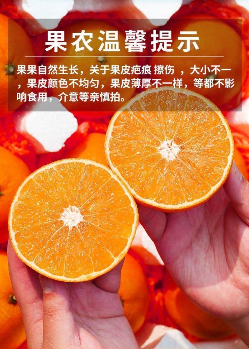 四川眉山爱媛38号果冻橙承接电商微商社区团购直播带货