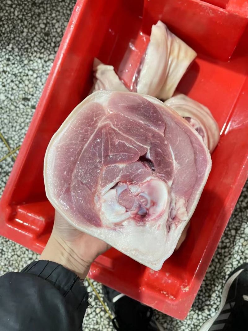 肘子，一级肘子猪肘，现货，出肉率高，干货，价格便宜
