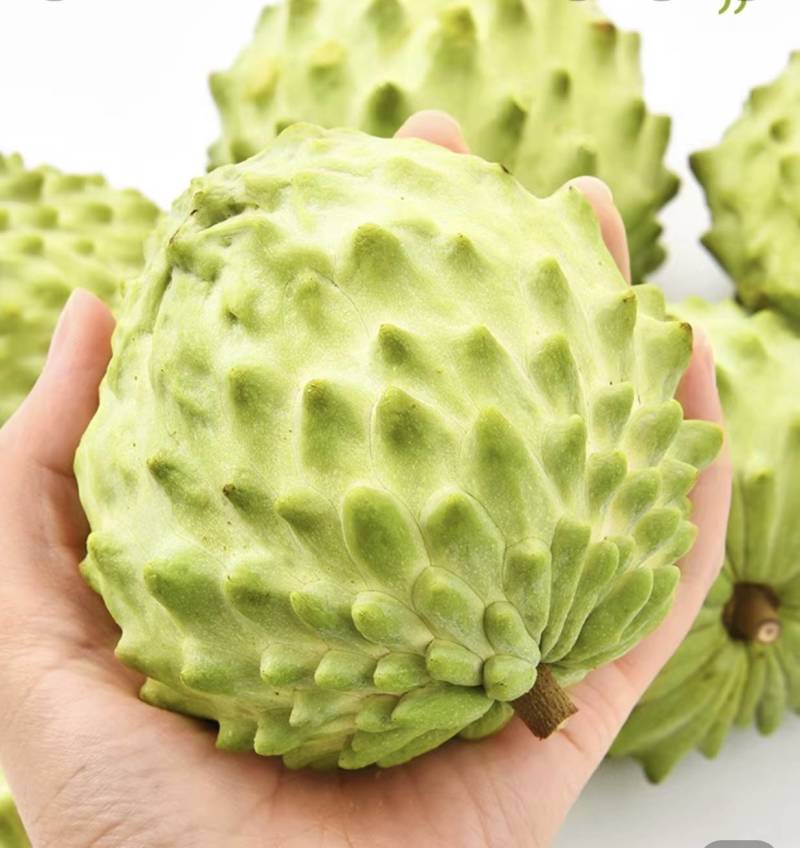 新鲜牛奶凤梨释迦果，现摘现发，大果饱满