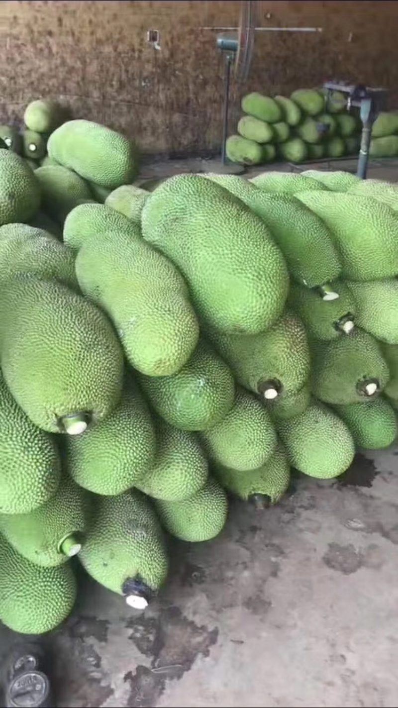 菠萝蜜