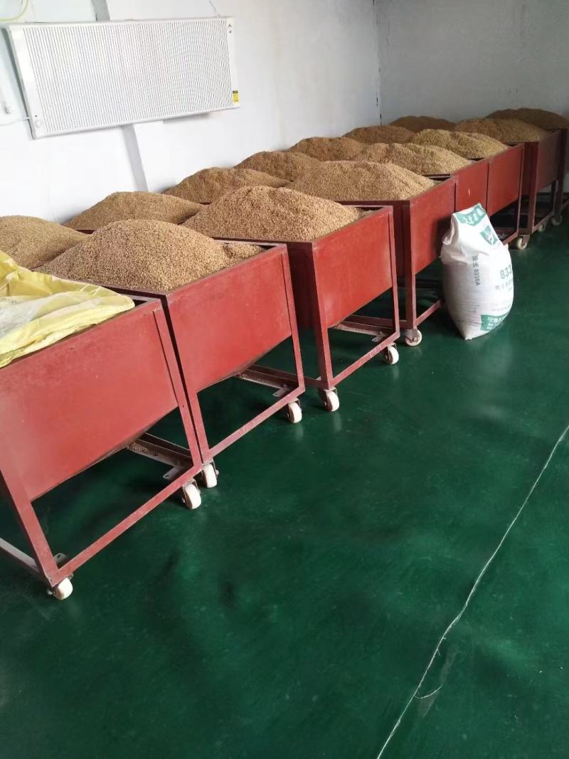 巴盟面粉，22年新小麦现加工，小袋发货，包邮