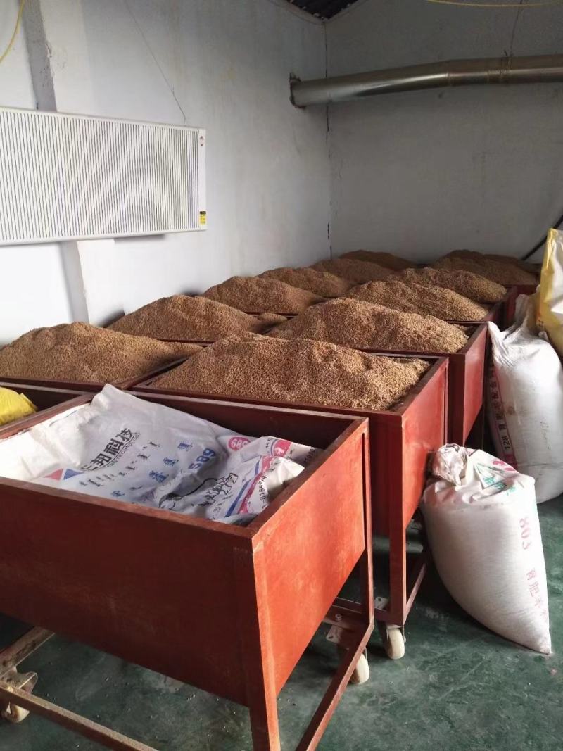 巴盟面粉，22年新小麦现加工，小袋发货，包邮