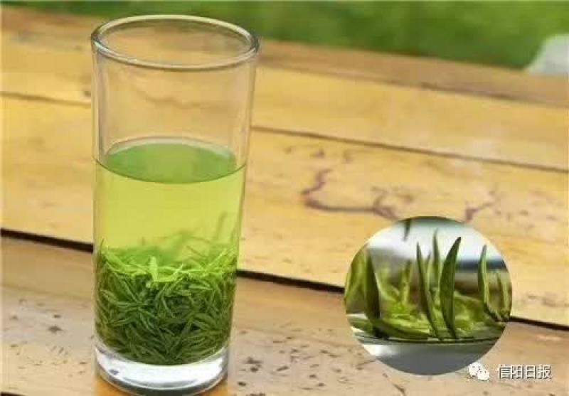 信阳毛尖茶叶