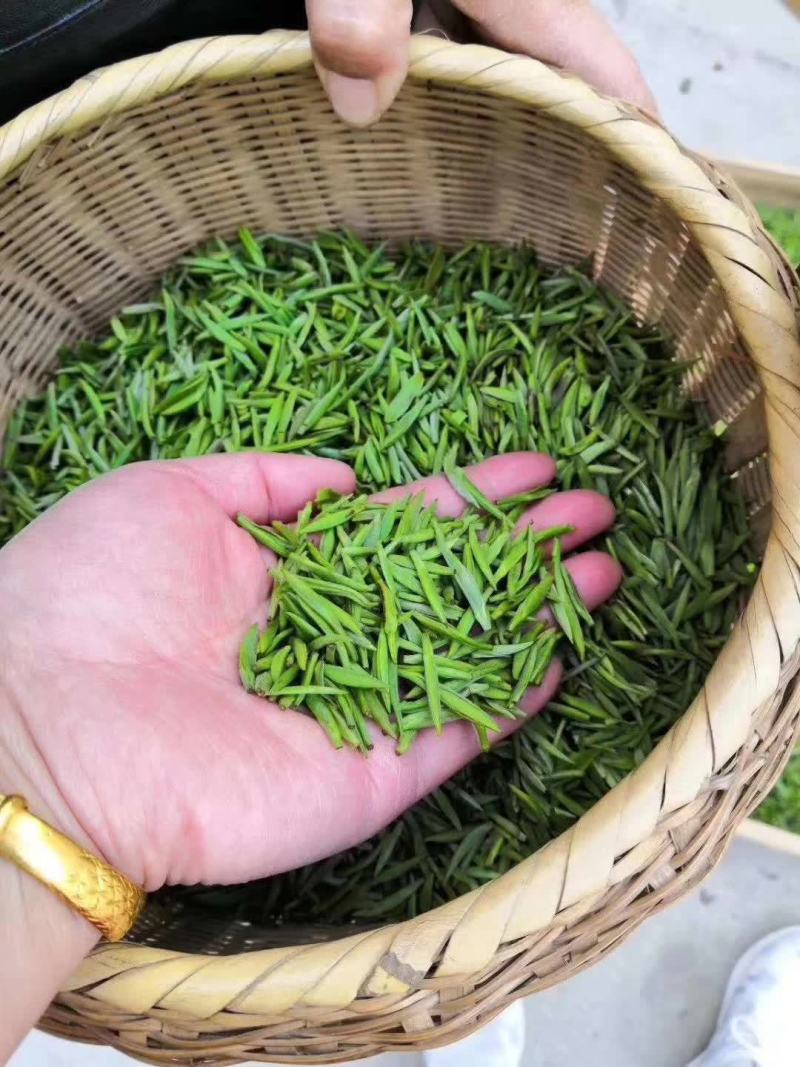 信阳毛尖茶叶