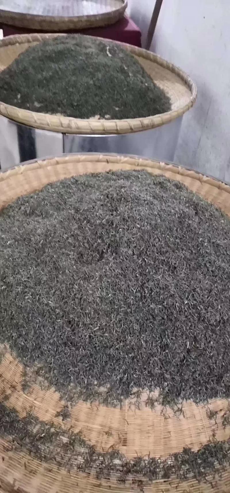 信阳毛尖茶叶