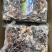 [热卖]，牛杂羊杂现货供应，好产品看成分表，好品质看得见