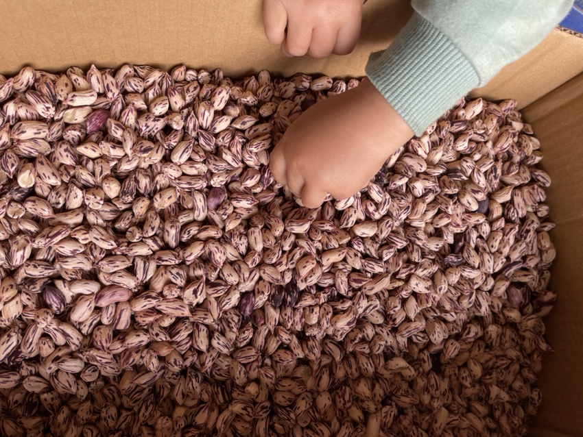 黑李子营养成分表示意图