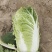 黄心白菜