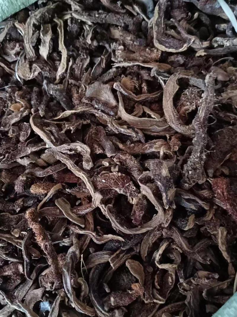 骨碎补中药材批发骨碎补骨碎朴中药毛姜崖姜无硫