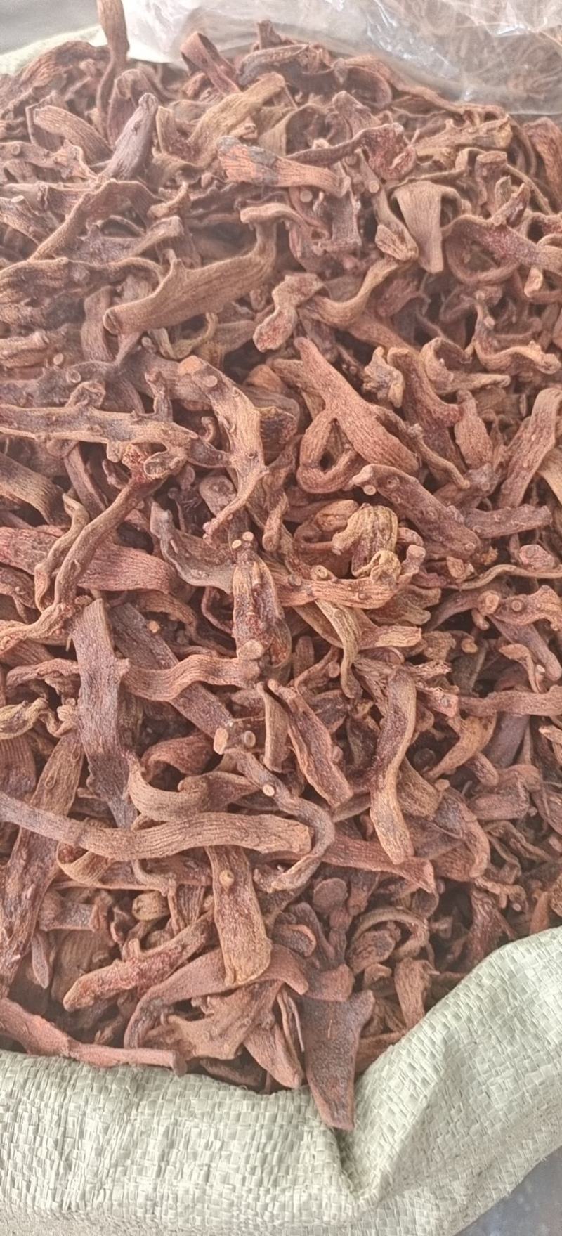 骨碎补中药材批发骨碎补骨碎朴中药毛姜崖姜无硫