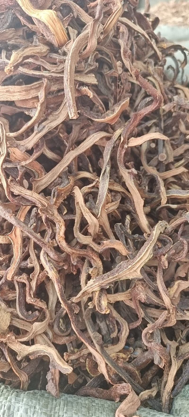 骨碎补中药材批发骨碎补骨碎朴中药毛姜崖姜无硫