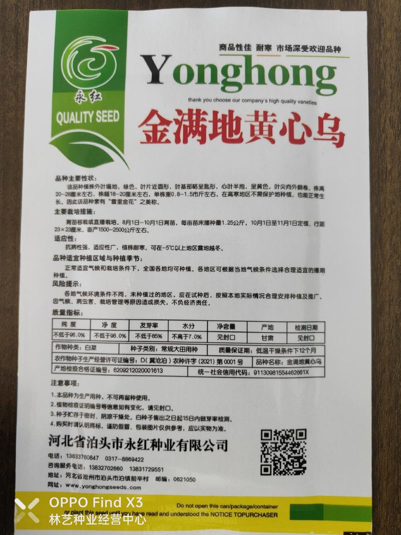 黄心乌塌菜种子耐寒黄心菜种籽菊花心大白菜籽易种黄金乌蔬菜
