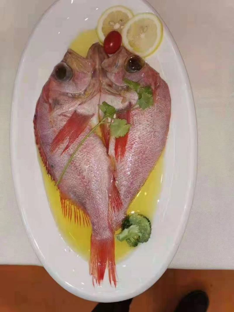 红石斑鱼（蒜瓣肉质，色泽明艳）