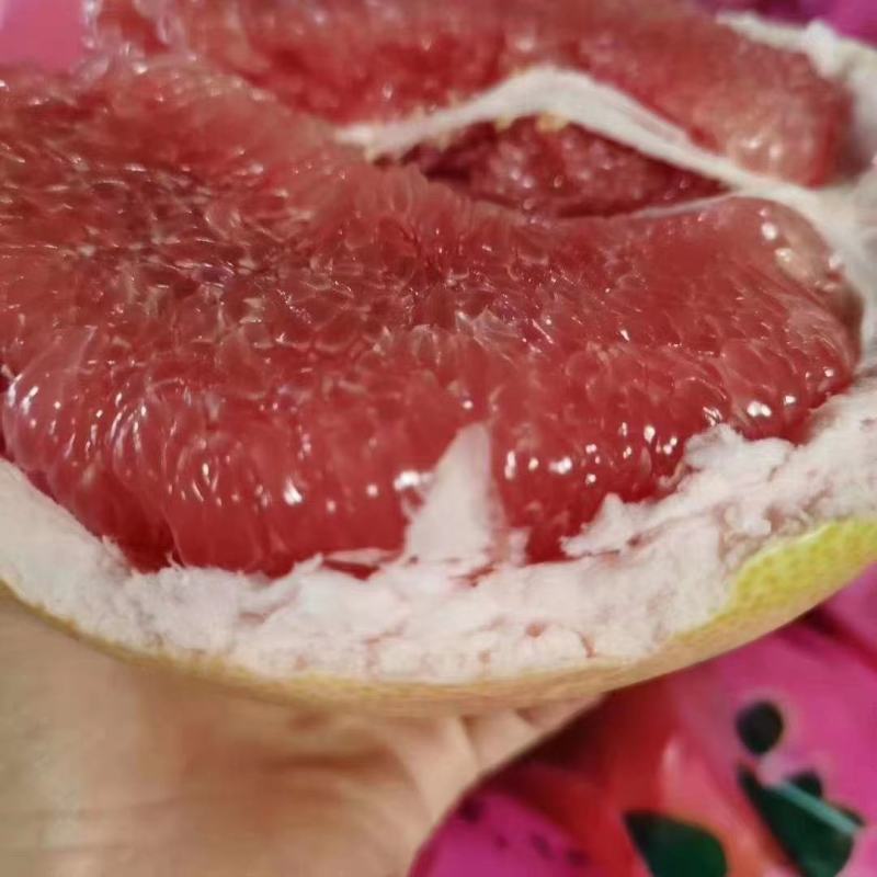 精品红心柚白心柚产地批发，大量上市，皮薄味甜，价格便宜。